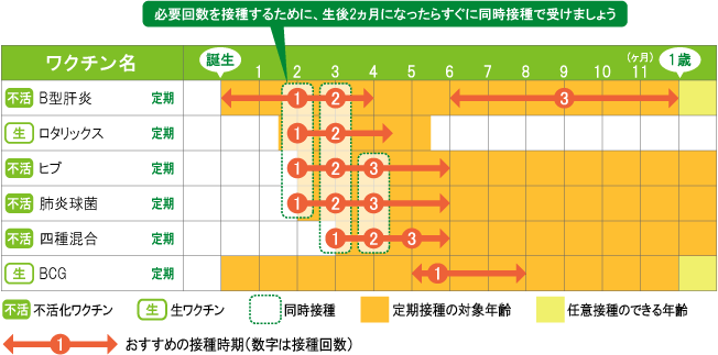 生後2ヶ月のスケジュール