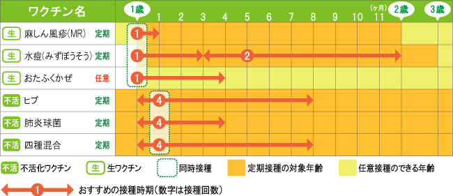 1歳からのスケジュール