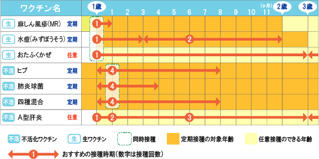 1歳からのスケジュール